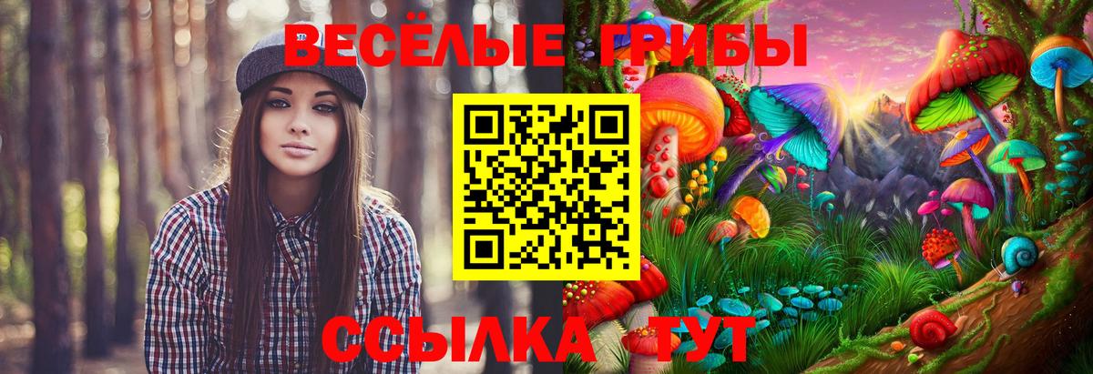 Белово  Галлюциногенные грибы мицелий  Вход с VPN 